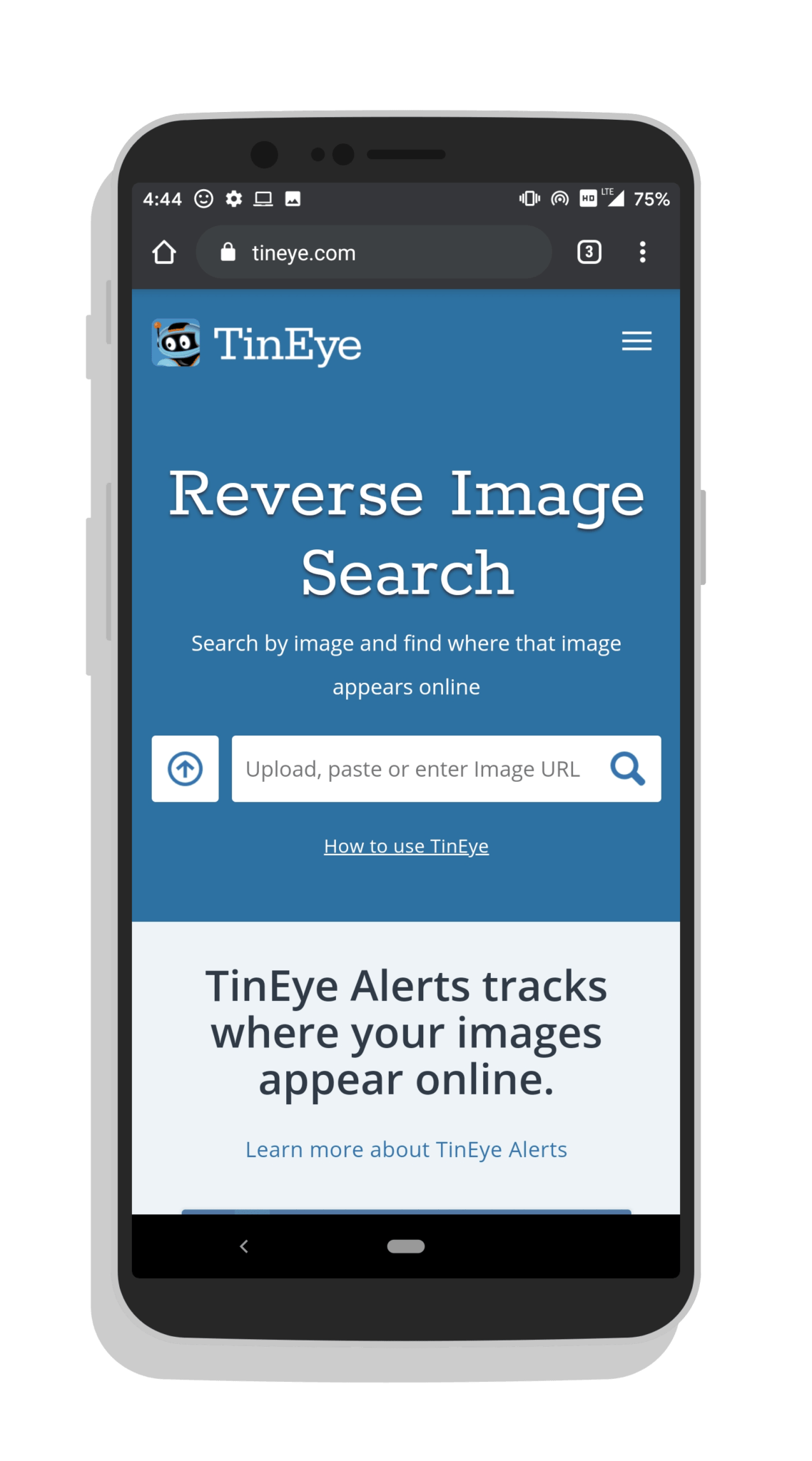 reverse search images
